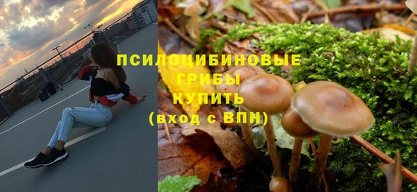 крисы Россошь