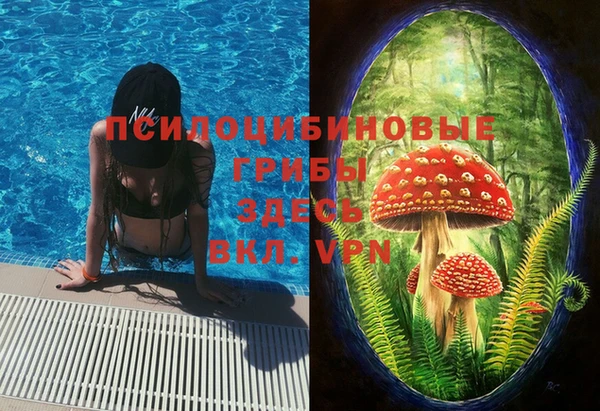 героин Рославль