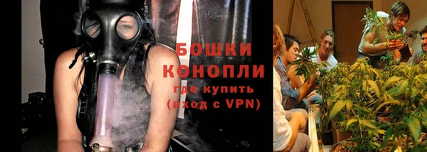 крисы Россошь