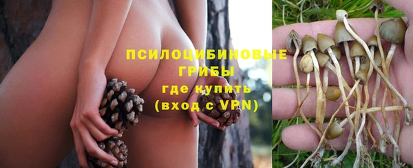 героин Рославль