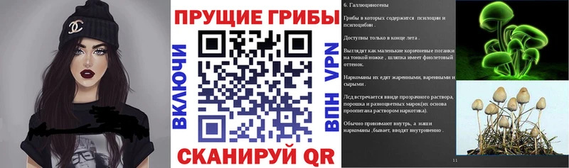 Купить где  Рудня  Галлюциногенные грибы MAGIC MUSHROOMS 