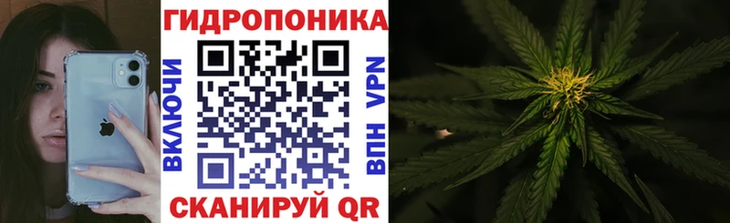 Купить  Рудня  Бошки Шишки марихуана 